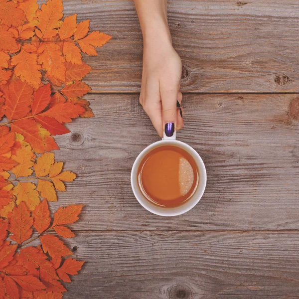 Femme main tenant parfaite tasse de thé sur table en bois avec autum — Photo
