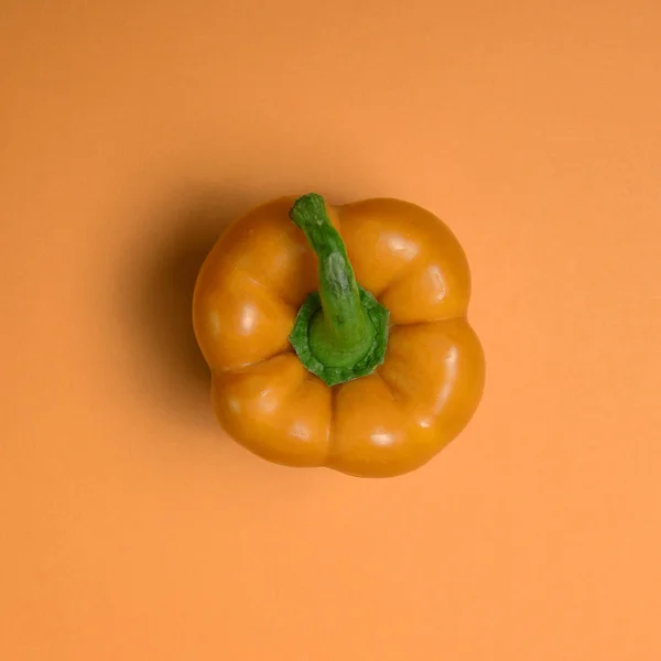 Fris oranje paprika op rode backround - bovenaanzicht — Stockfoto