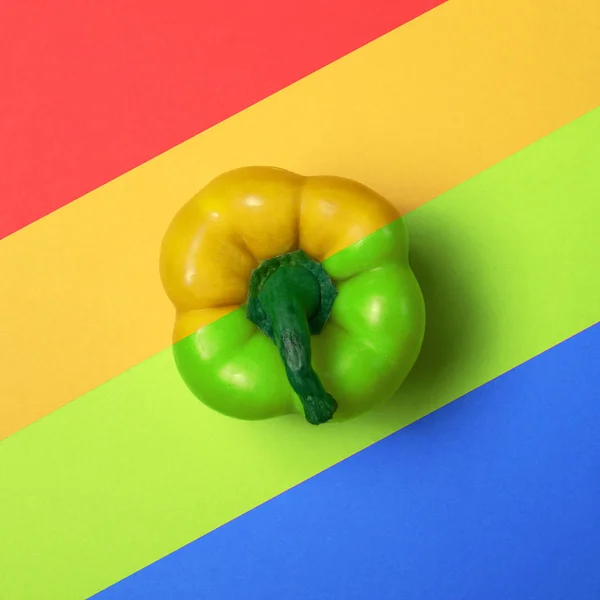 Multicolored paprika Desain minimal — Stok Foto