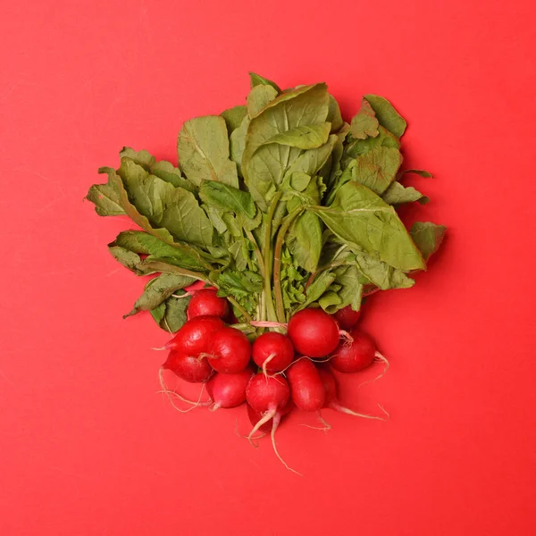 Rábano verduras frescas sobre fondo rojo - Moderno mínimo plano — Foto de Stock