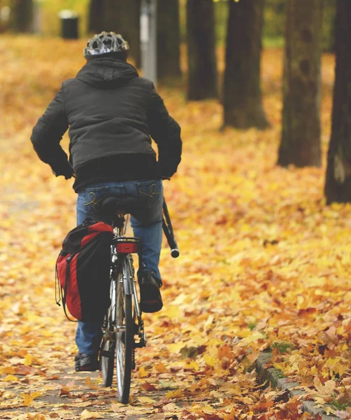 Biker driving at park in Autumn — Stock Photo, Image