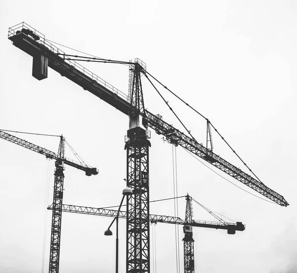 Crane silhouettes in black and white - Industrial sight concept — Stock Photo, Image