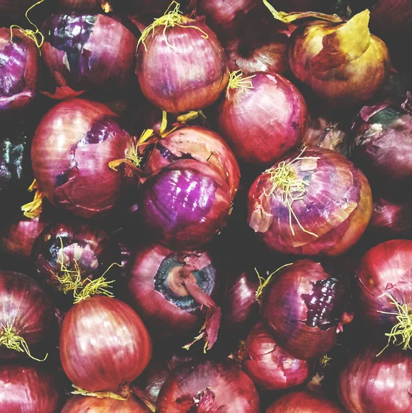 Cebollas rojas frescas — Foto de Stock