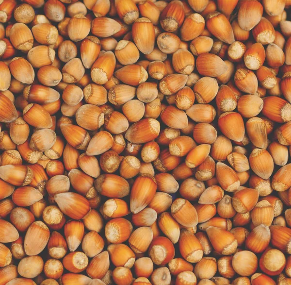 Pile of Hazelnuts — Stock Photo, Image