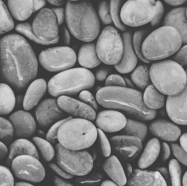 Pebble stone background in black and white — Stock Photo, Image