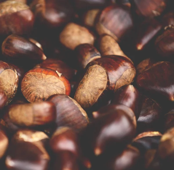 Pile of chestnuts — Stock Photo, Image