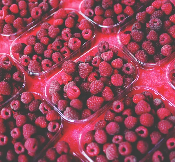 Frambozen in kleine vakjes op de markt te koop — Stockfoto