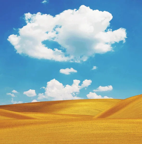 Wydmy i jasne błękitne niebo — Zdjęcie stockowe