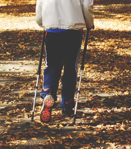 Coppia anziana che fa nordic walking nel parco — Foto Stock