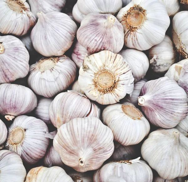 Fondo de cebolla de cerca — Foto de Stock