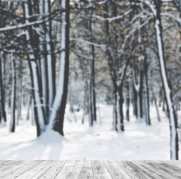 Bosque de invierno y suelo de madera —  Fotos de Stock