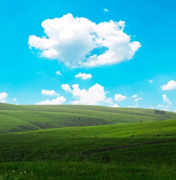 Prachtig natuurlijk landschap — Stockfoto