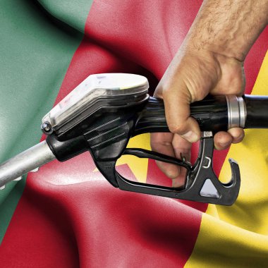 Benzin tüketimi kavramı - hortum karşı bayrak tutan el