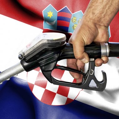 Benzin tüketimi kavramı - hortum karşı bayrak tutan el