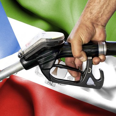 Benzin tüketimi kavramı - hortum karşı bayrak tutan el