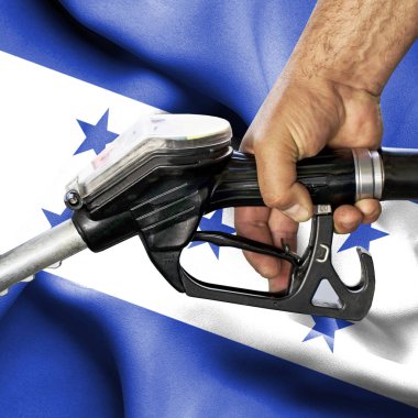 Benzin tüketimi kavramı - hortum karşı bayrak tutan el