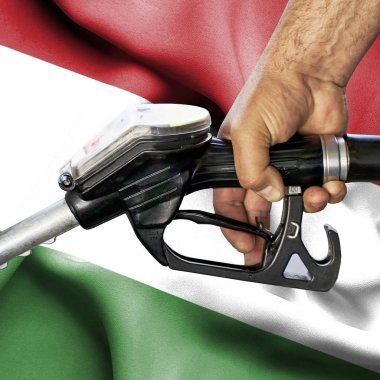 Benzin tüketimi kavramı - hortum karşı bayrak tutan el