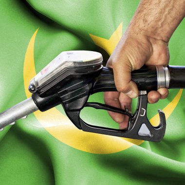 Benzin tüketimi kavramı - hortum karşı bayrak tutan el