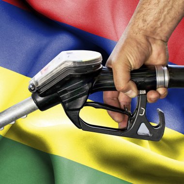 Benzin tüketimi kavramı - hortum karşı bayrak tutan el