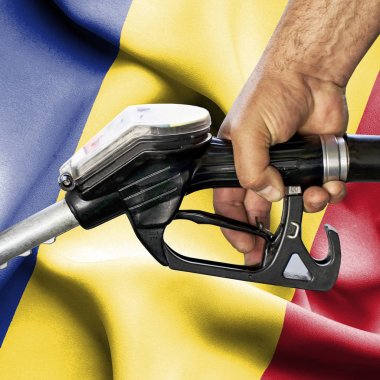 Benzin tüketimi kavramı - hortum karşı bayrak tutan el