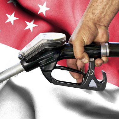 Benzin tüketimi kavramı - hortum karşı bayrak tutan el