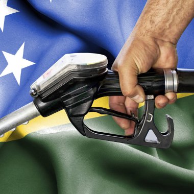 Benzin tüketimi kavramı - hortum karşı bayrak tutan el