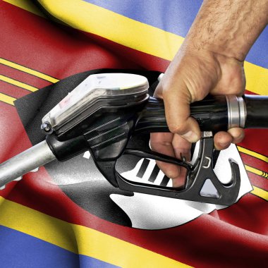 Benzin tüketimi kavramı - hortum karşı bayrak tutan el