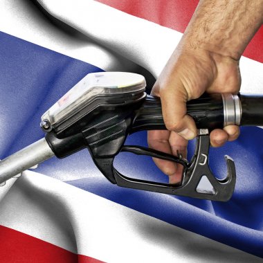 Benzin tüketimi kavramı - hortum karşı bayrak tutan el