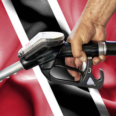 Benzin tüketimi kavramı - hortum karşı bayrak tutan el