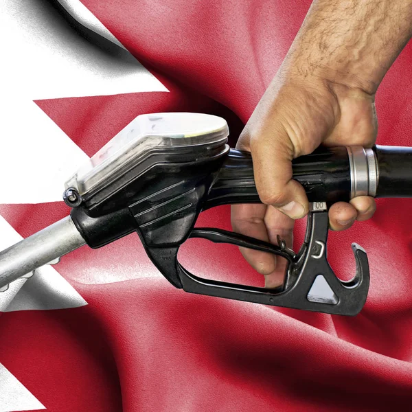 Benzin tüketimi kavramı - hortum karşı bayrak tutan el