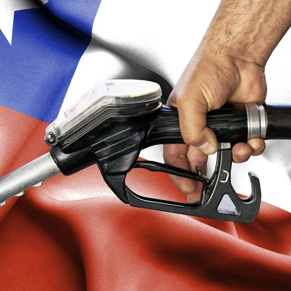 Benzin tüketimi kavramı - hortum karşı bayrak tutan el