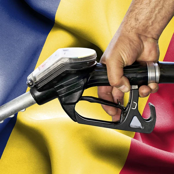 Benzin tüketimi kavramı - hortum karşı bayrak tutan el