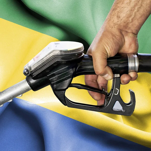 Benzin tüketimi kavramı - hortum karşı bayrak tutan el