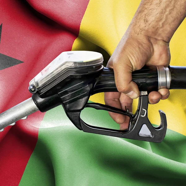 Benzin tüketimi kavramı - hortum karşı bayrak tutan el