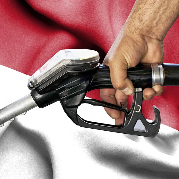 Benzin tüketimi kavramı - hortum karşı bayrak tutan el