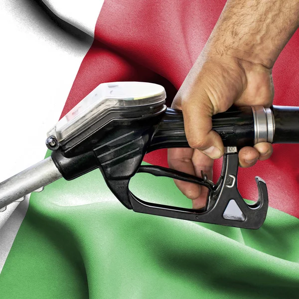 Gasoline consumption concept - Hand holding hose against flag of