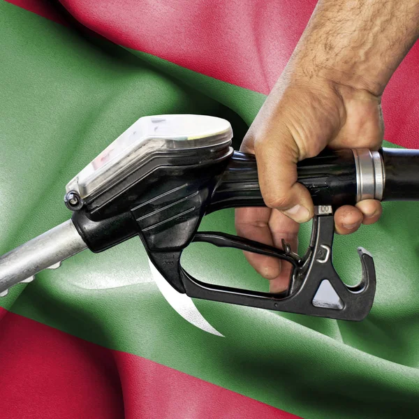 Benzin tüketimi kavramı - hortum karşı bayrak tutan el