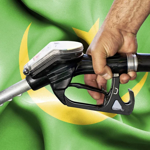 Benzin tüketimi kavramı - hortum karşı bayrak tutan el