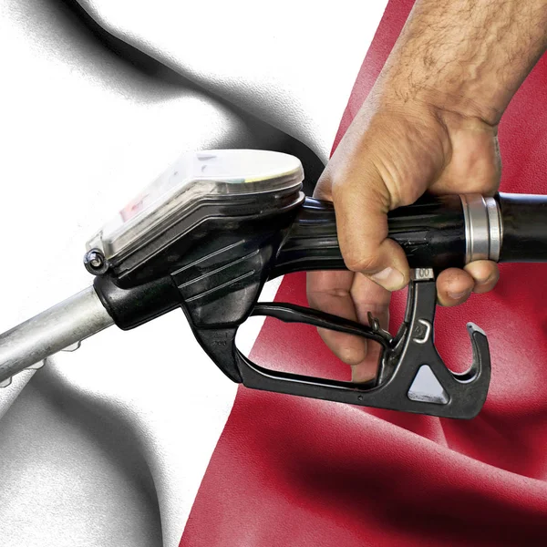 Benzin tüketimi kavramı - hortum karşı bayrak tutan el