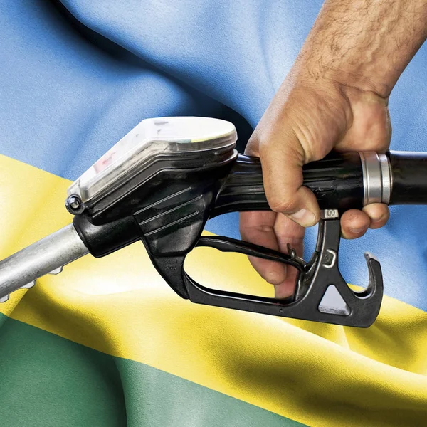 Benzin tüketimi kavramı - hortum karşı bayrak tutan el