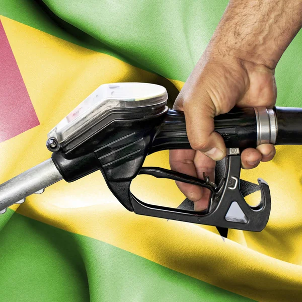 Benzin tüketimi kavramı - hortum karşı bayrak tutan el