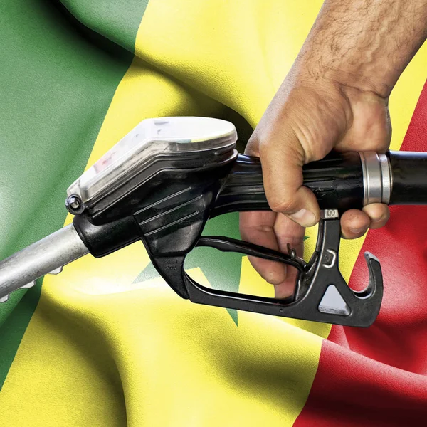 Benzin tüketimi kavramı - hortum karşı bayrak tutan el