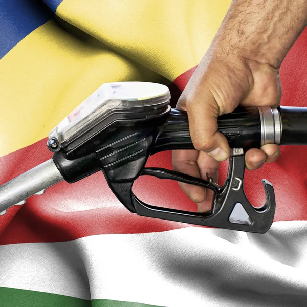 Benzin tüketimi kavramı - hortum karşı bayrak tutan el