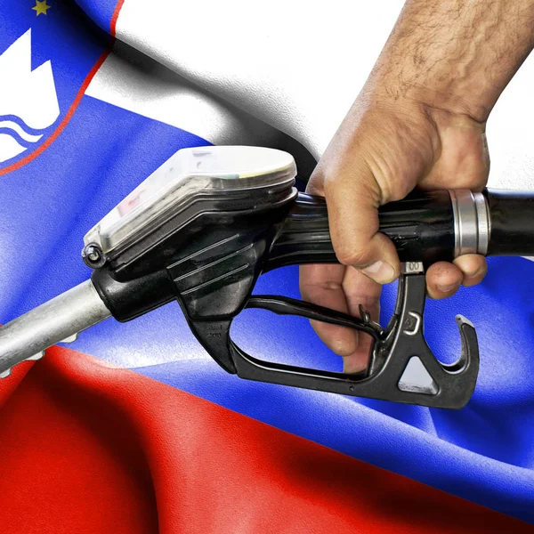 Benzin tüketimi kavramı - hortum karşı bayrak tutan el