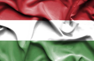 Kendinden geçmiş kadın holidng yumruk ve Hunga bayrağı karşı çığlık