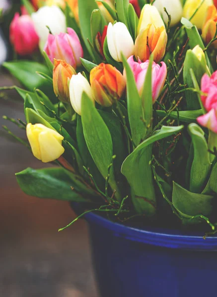 Tulipani freschi in vaso — Foto Stock