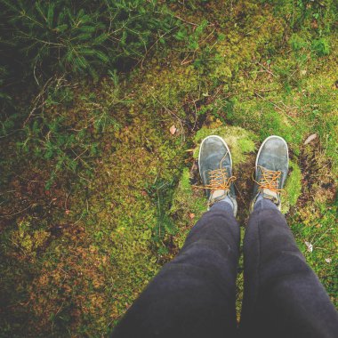 Orman kavram yürümeye