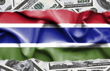 Ulusal çapta Amerikan para biriminin banknotlarıyla finansal konsept 