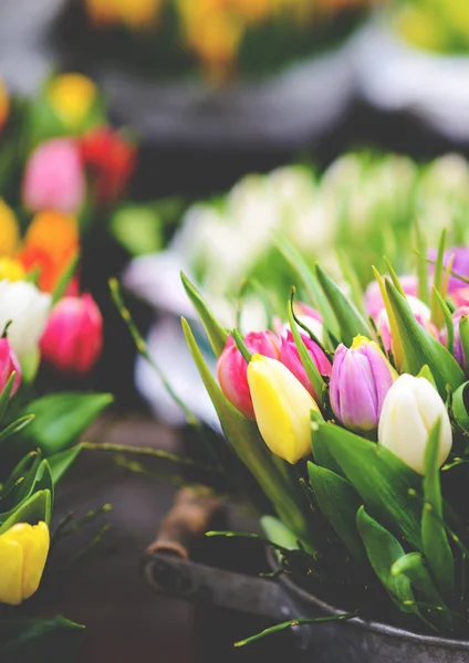Tulipani al mercato dei fiori — Foto Stock