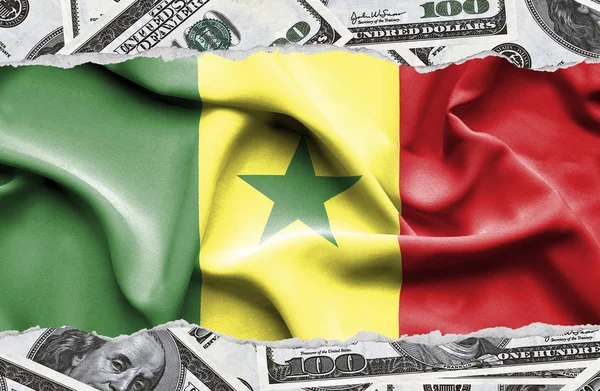 Ulusal çapta Amerikan para biriminin banknotlarıyla finansal konsept 